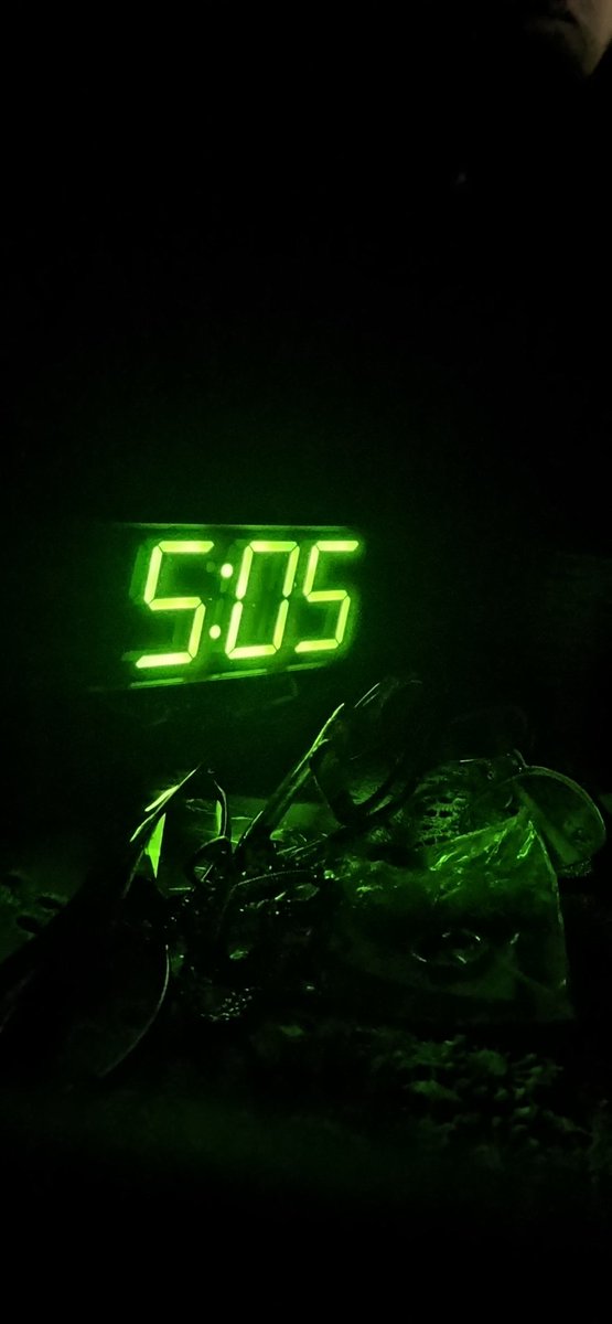 teresa_riccardi's tweet image. #alleVolteÈ proprio difficile rientrare nei ranghi..
#unTemaAlGiorno #8set #buongiorno