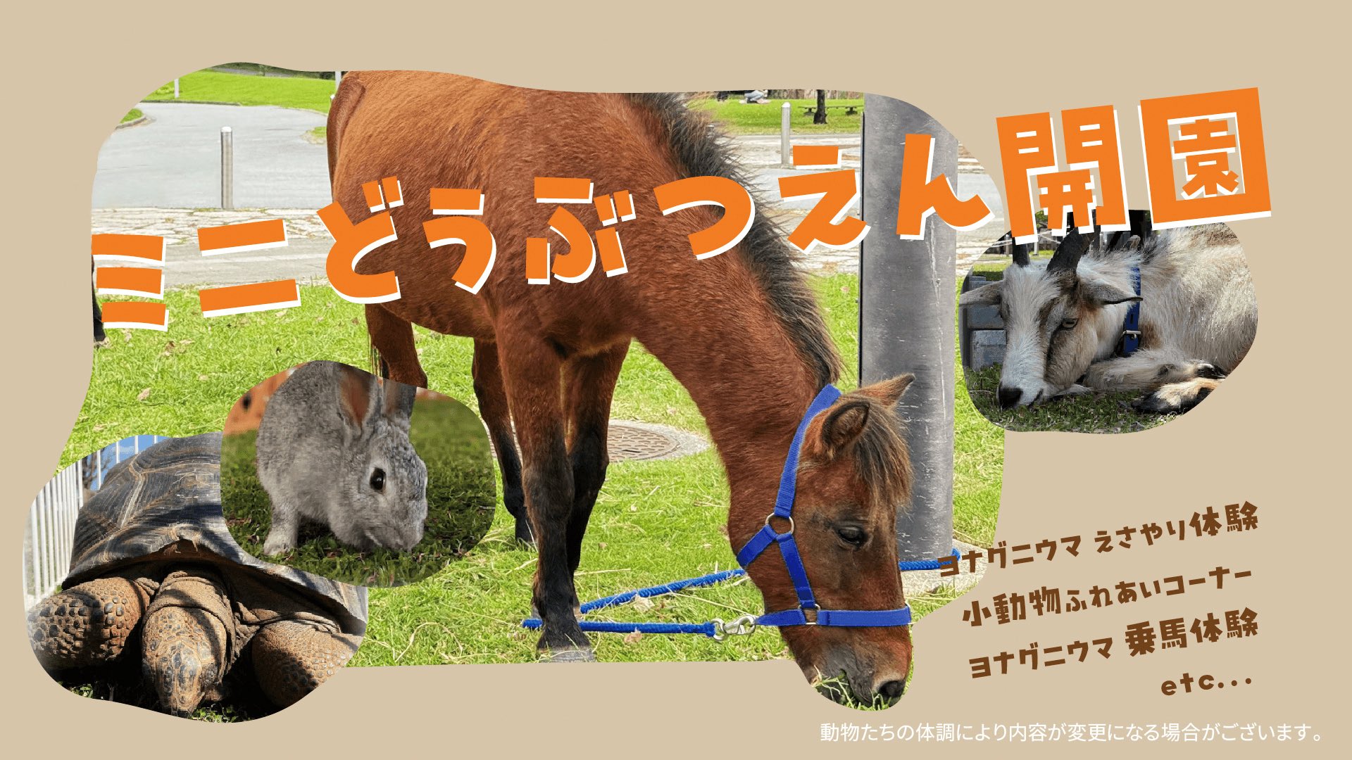 FC琉球OKINAWA｜FC RYUKYU OKINAWA［公式 𝑿］ on X: 