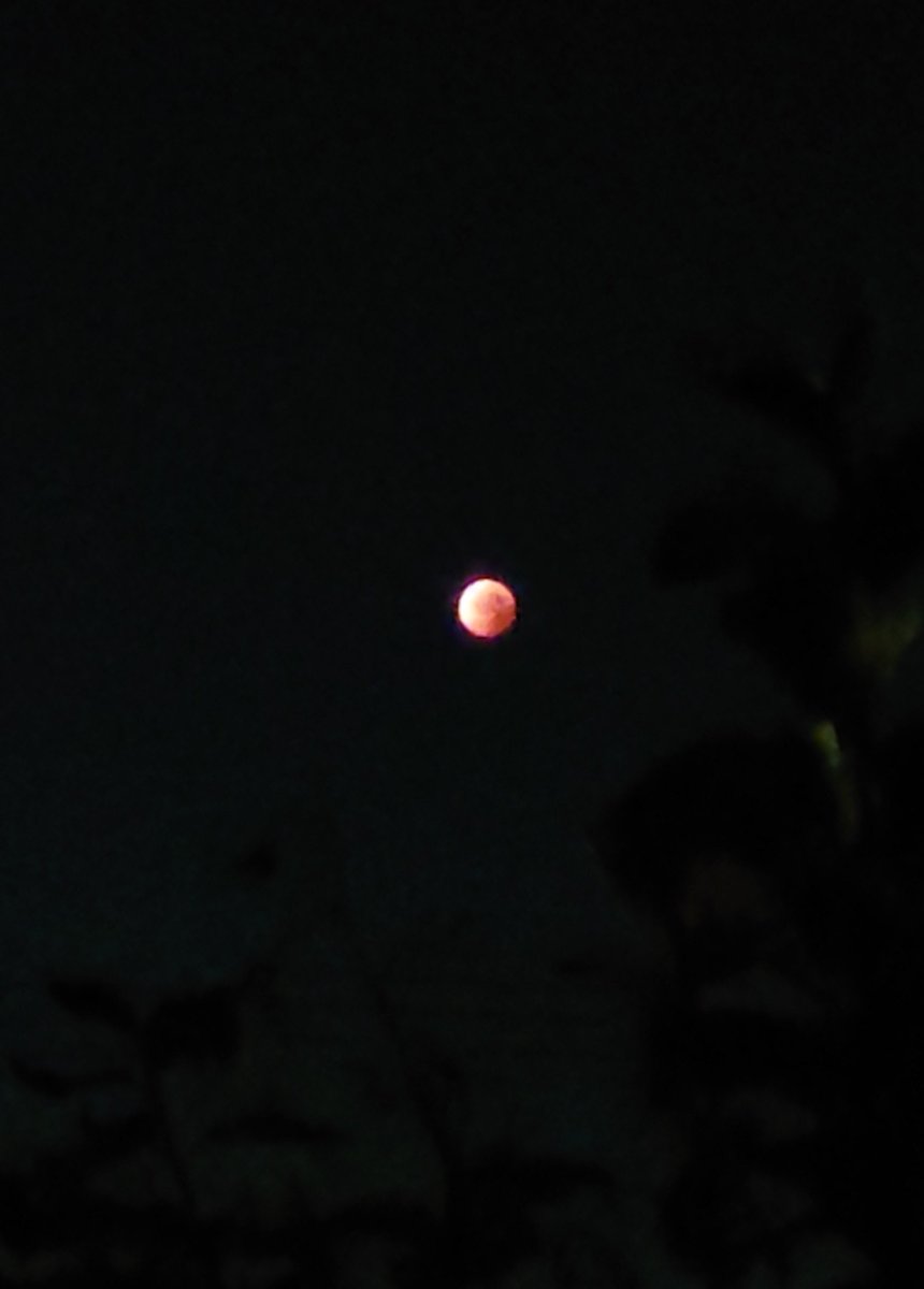 昨日の誕生日🎂のポストにお祝いのお言葉を頂いた皆様、イイねのリアクションを頂いた皆様、本当にありがとう御座いました。😊

今年は、誕生日の翌日早々に皆既月蝕🌝と云う天体🪐ショーまで見れて、何だか特別な誕生日でした。😌