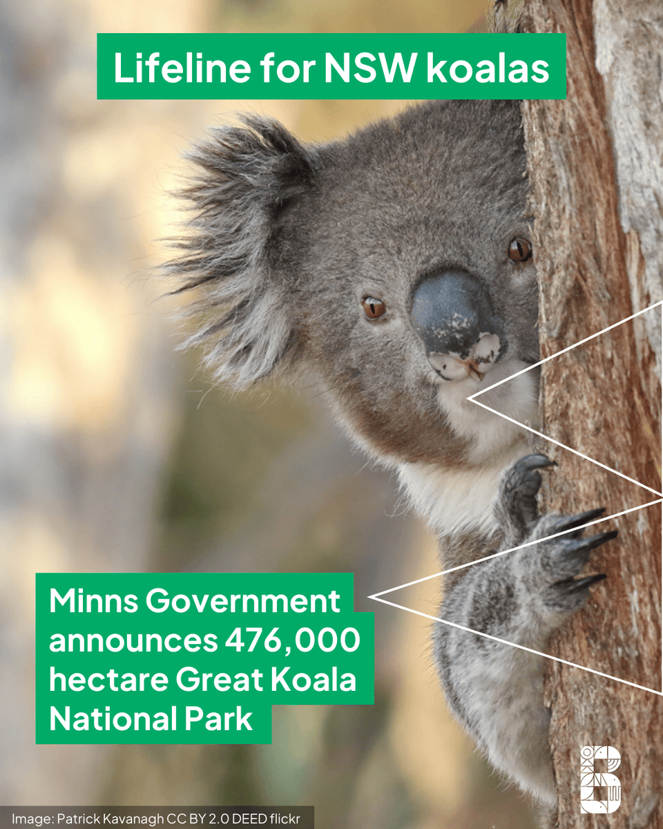 Biodiversity Council tweet media