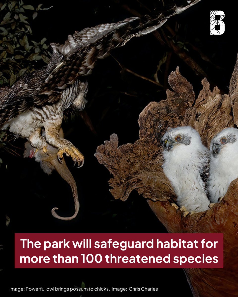 Biodiversity Council tweet media