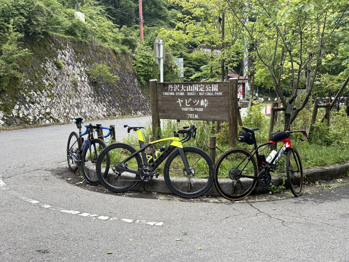 コーディ tweet media