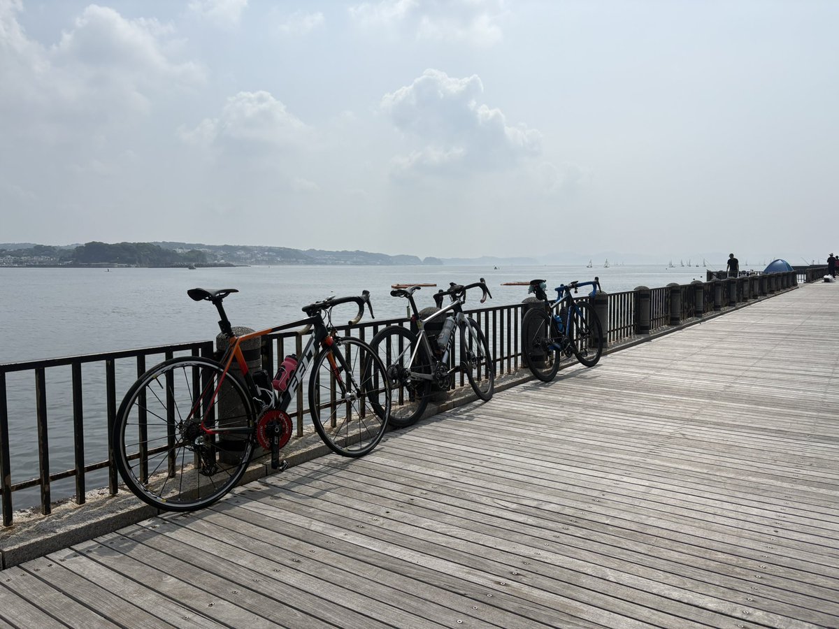 コーディ tweet media