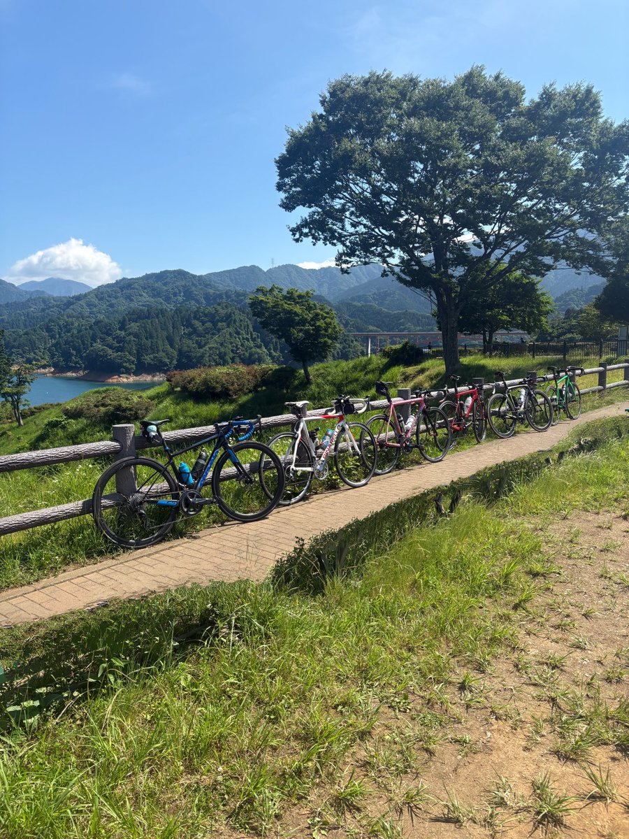 コーディ tweet media