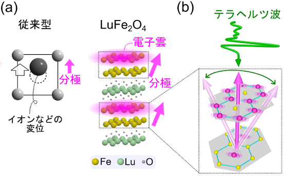 #研究成果 #プレスリリース
電子の連携、量子物質の巨大分極を誘発
─　高速エレクトロニクスを拓く新材料としての応用に期待　─

#量子物質 #高速エレクトロニクス #岩井伸一郎 #東北大理学 #東北大

📗本件論文
doi.org/10.1103/fryl-j…

🔻内容🔻
sci.tohoku.ac.jp/news/20250908-…