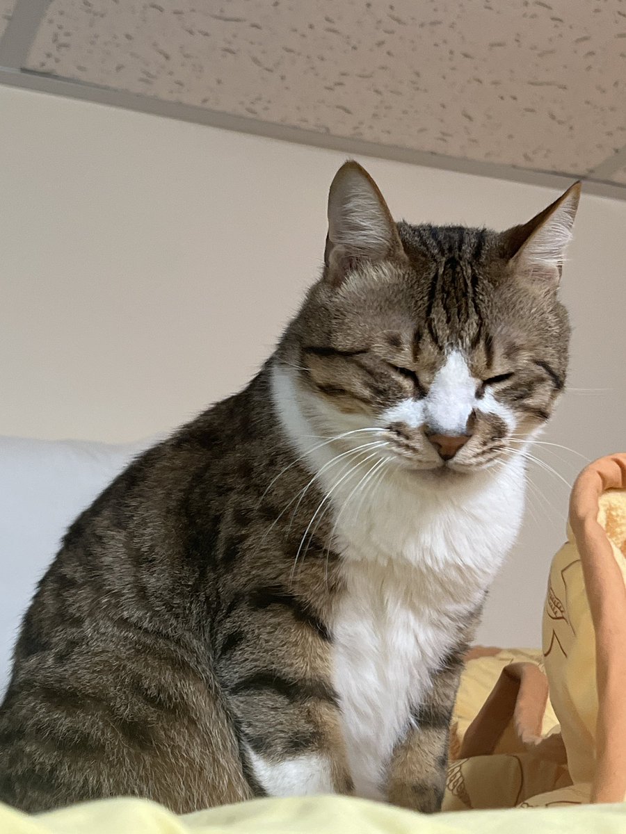 威爾森 WiLSoN 🐾於115年6月13日2130時辦理1.0形象初披露配信事宜 tweet media