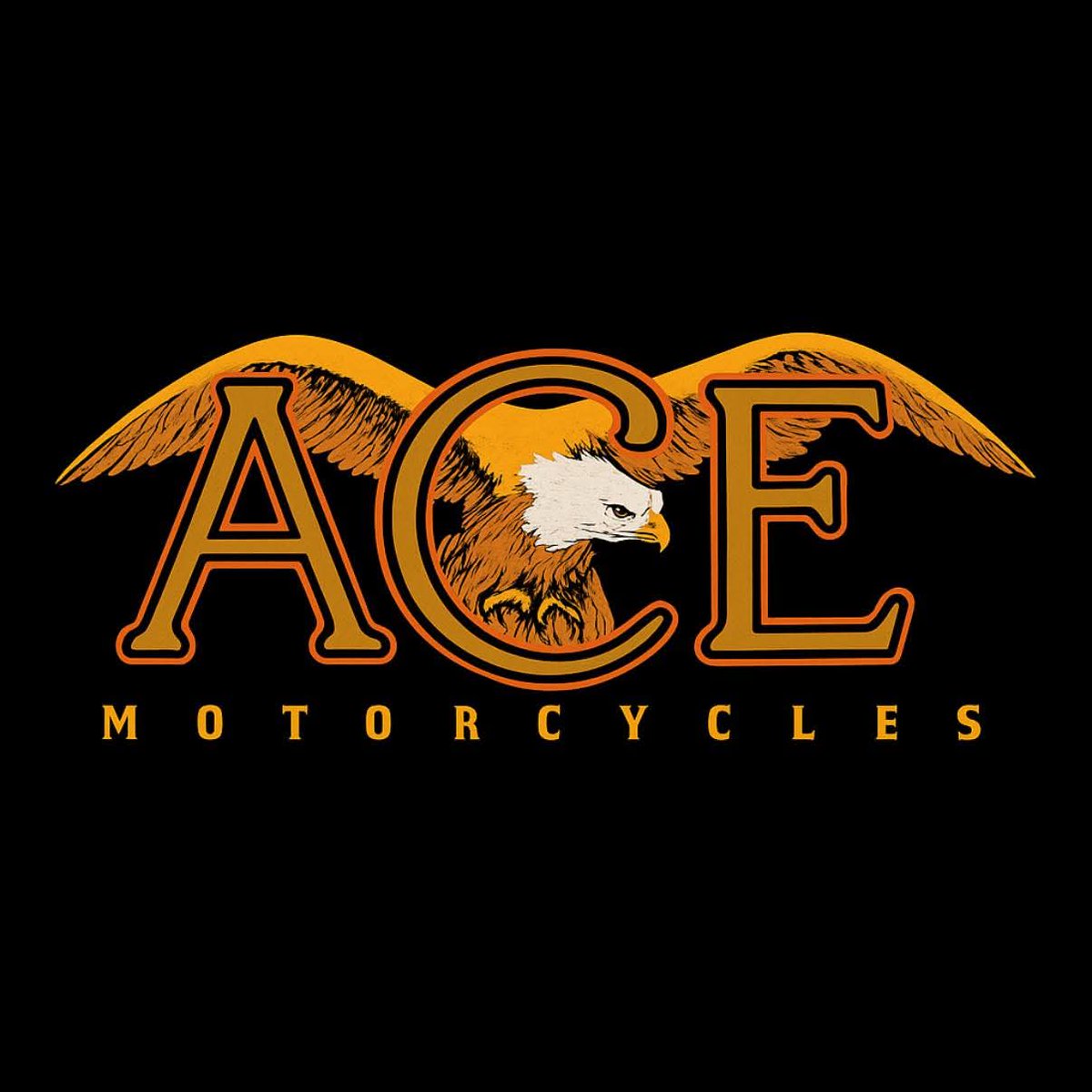 Ace Motorcycle (@acemotorcycle) on Twitter photo 