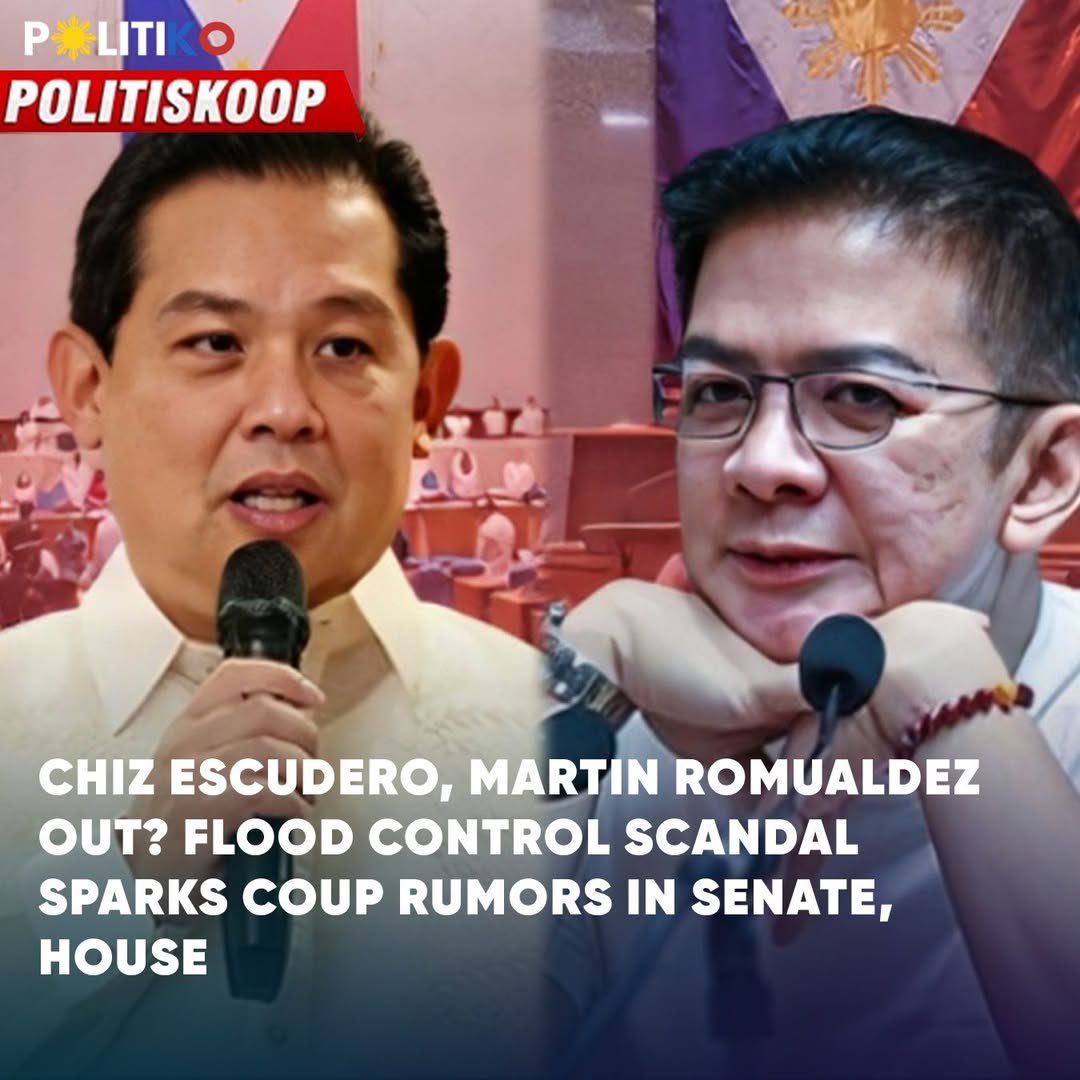 Ay! Maganda yan.  For a change. Pero, let’s be REAL! Martin is BBM’s alter ego. Chizzy is Duterti’s anointed to balance off the power in the two houses.   In other words, bawat isa ay may malakas na backer. Bawat isa ay hindi papayag na mawala sa poder ang mga manok nila. Kung