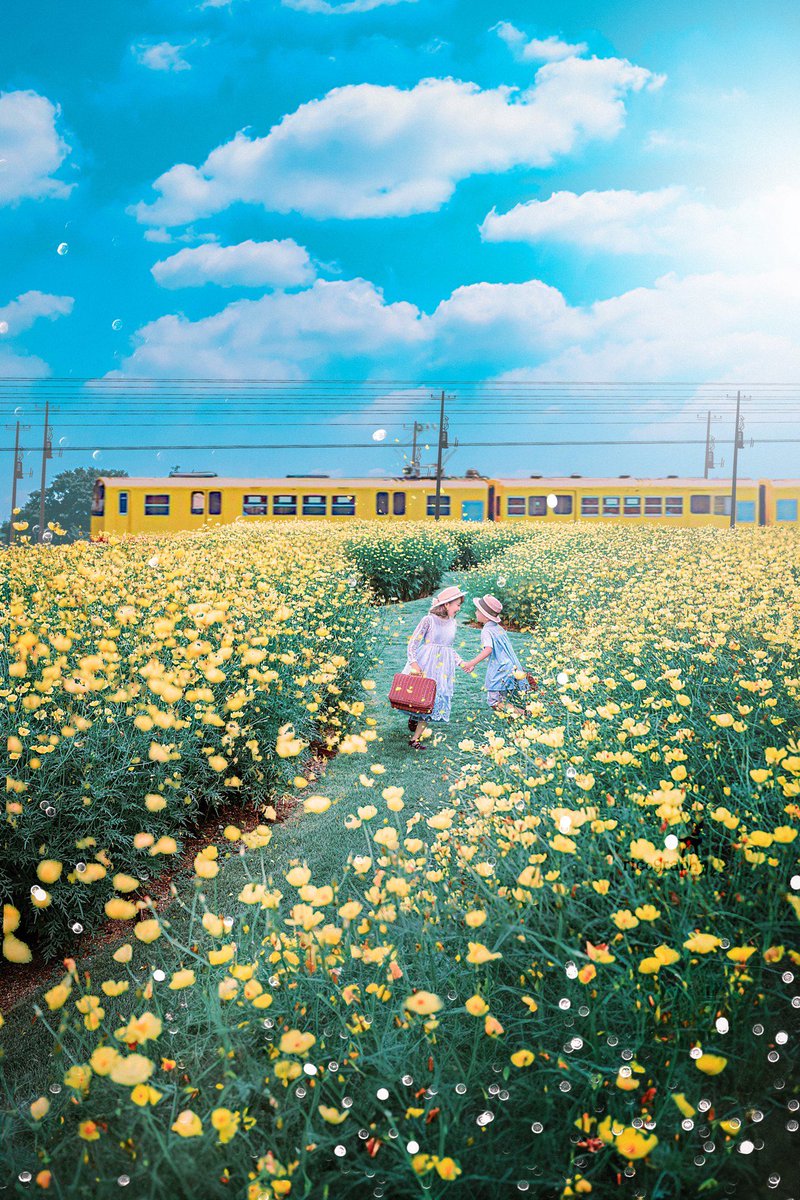 黄色な風景って幸せ感じるよね