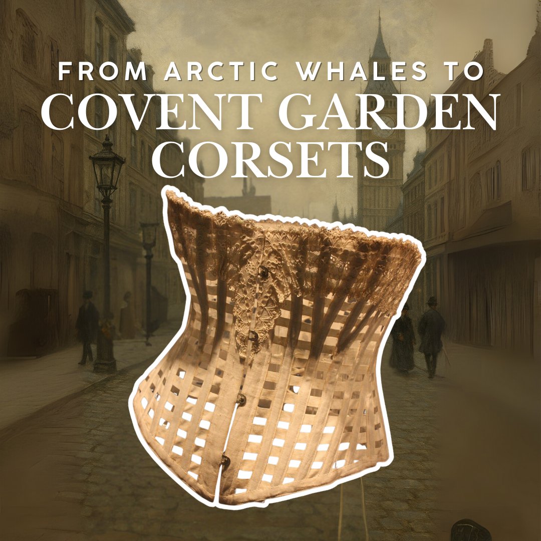 Corsets, umbrellas, even carriage springs… none of them worked without whales.
Baleen—misnamed ‘whalebone’—was Victorian London’s plastic.
🎧 Discover fashion’s hidden whale in Ep. 138 of the London History Podcast 
londonguidedwalks.co.uk/podcast/episod…

#VictorianLondon #Whalebone