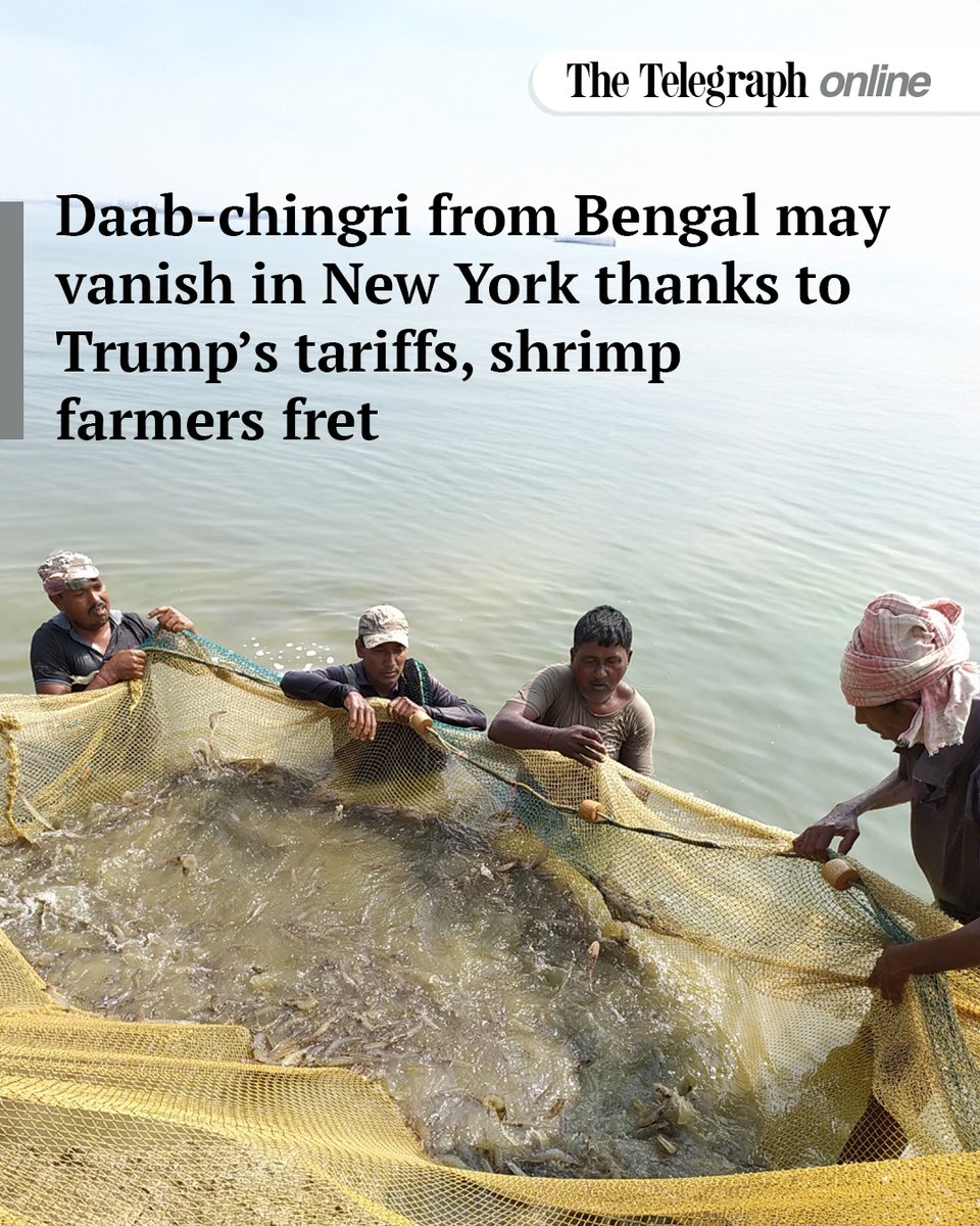 The Telegraph tweet media