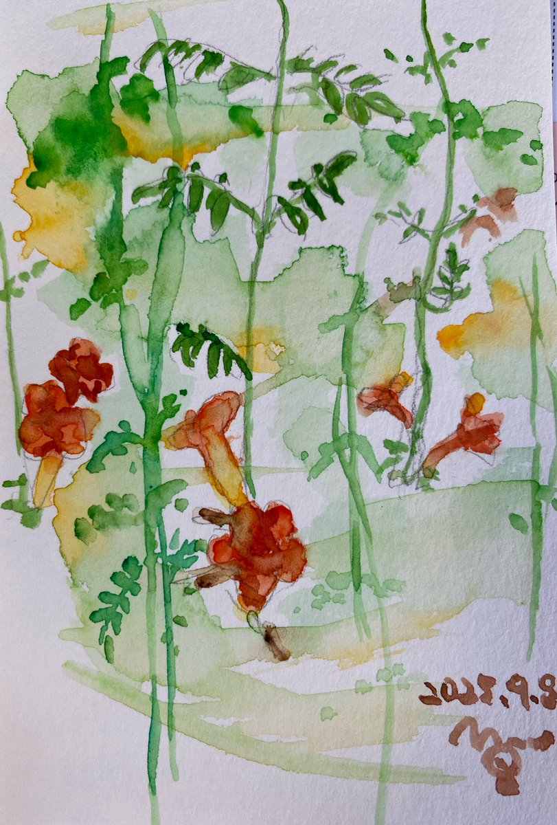 2022AfterRain's tweet photo. #今日の一枚　#透明水彩 https://t.co/WYEO4km8px