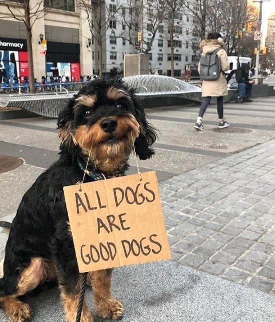 _XDogs's tweet image. So true!💝…