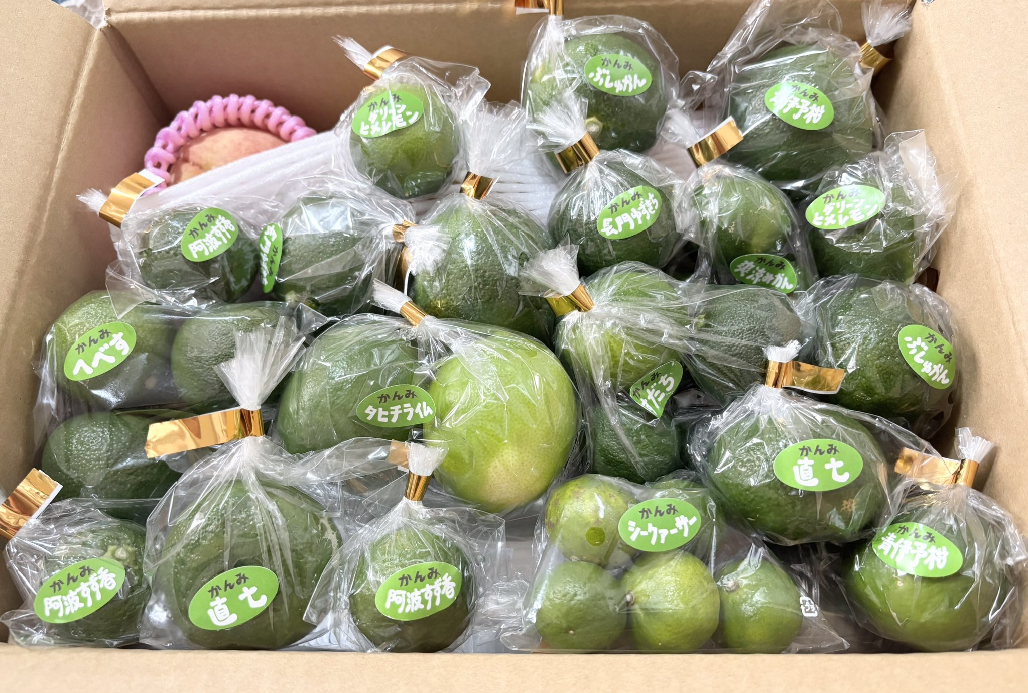 みかんさん専用 楽天市場】サンガリア つぶちゅー 温州みかん 340ml 缶 × 24本 1