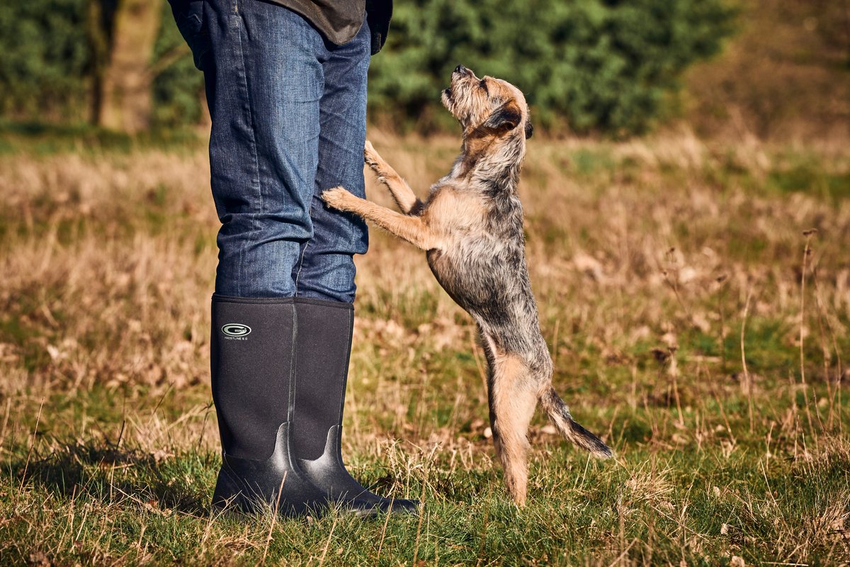 Our ever reliable Frostline black! 📷