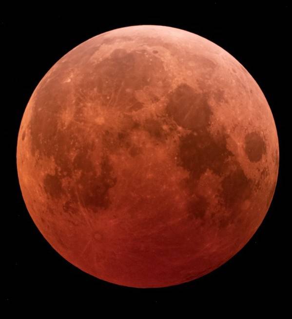 TAKENOKONOMAMA's tweet image. 今さらですが…
今朝3:15頃の月です🌕️
月蝕も良かったけれど、星がとってもきれいでした✨オリオン座の剣の星たちもきれいに見えたし、満天の星が降るようだったわ✨
月蝕で月の光が弱かったから星がきれいに見えたのかしら…

#月蝕