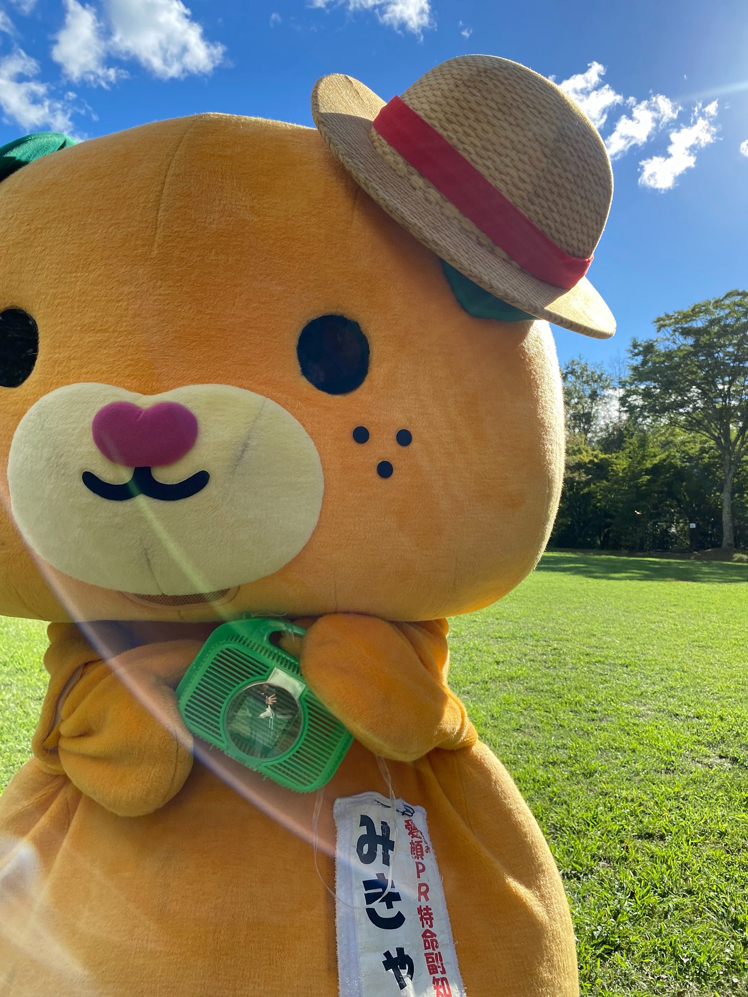 みきゃん【公式】《愛媛県イメージアップキャラクター