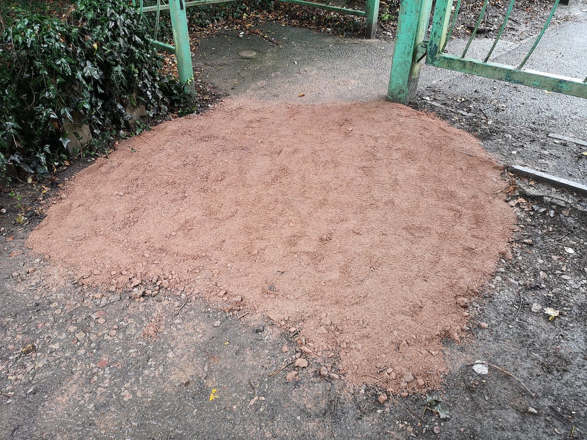 Our Community Park Ranger has acted upon a report of wheelchair users having difficulty at this entrance gate to Hendre Lake. It has been filled in evenly now making it easier and safer for all to access and enjoy our beautiful Hendre lakes. 
St Mellons Trowbridge