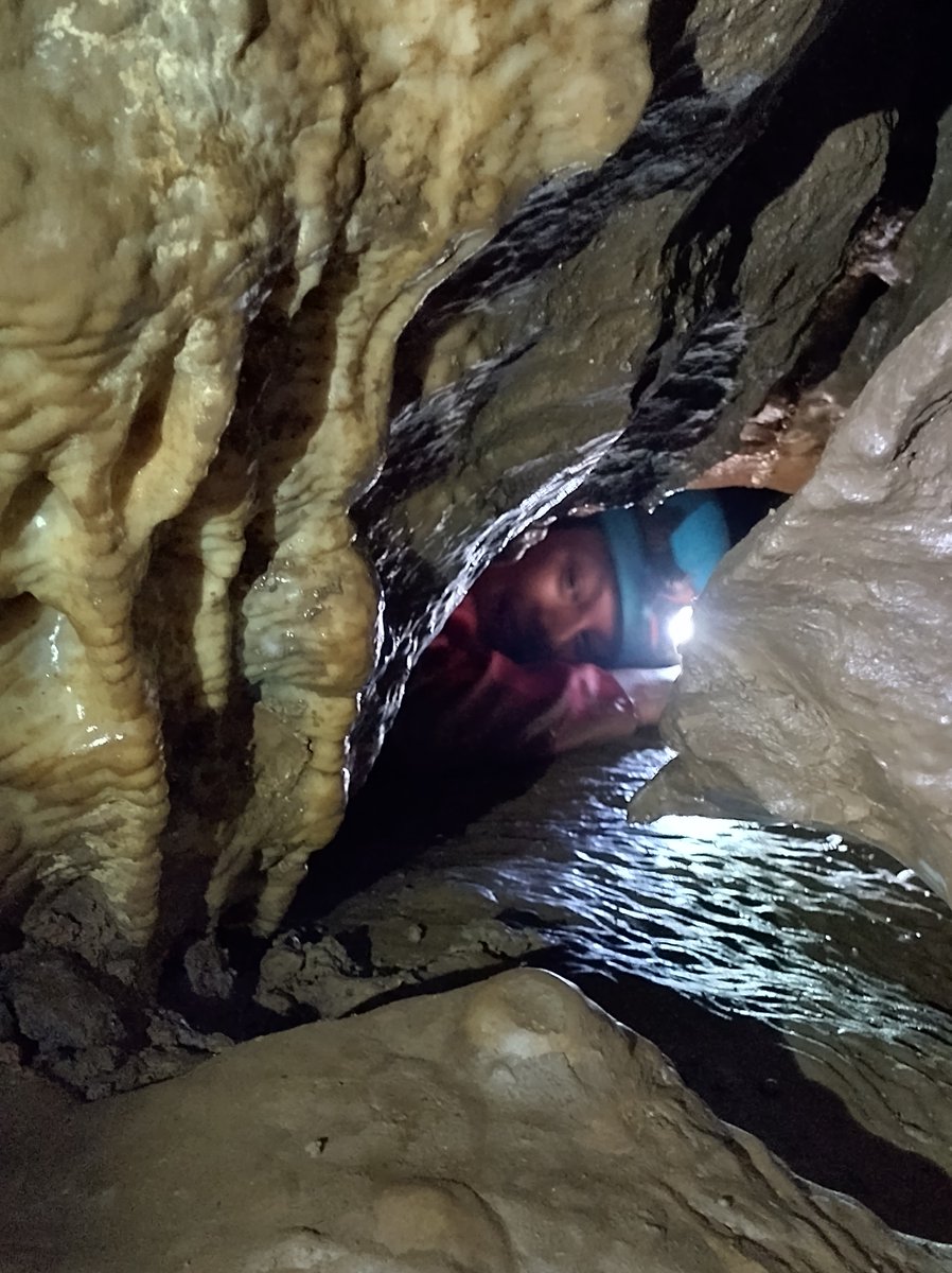 2nd Exeter Scouts tweet media