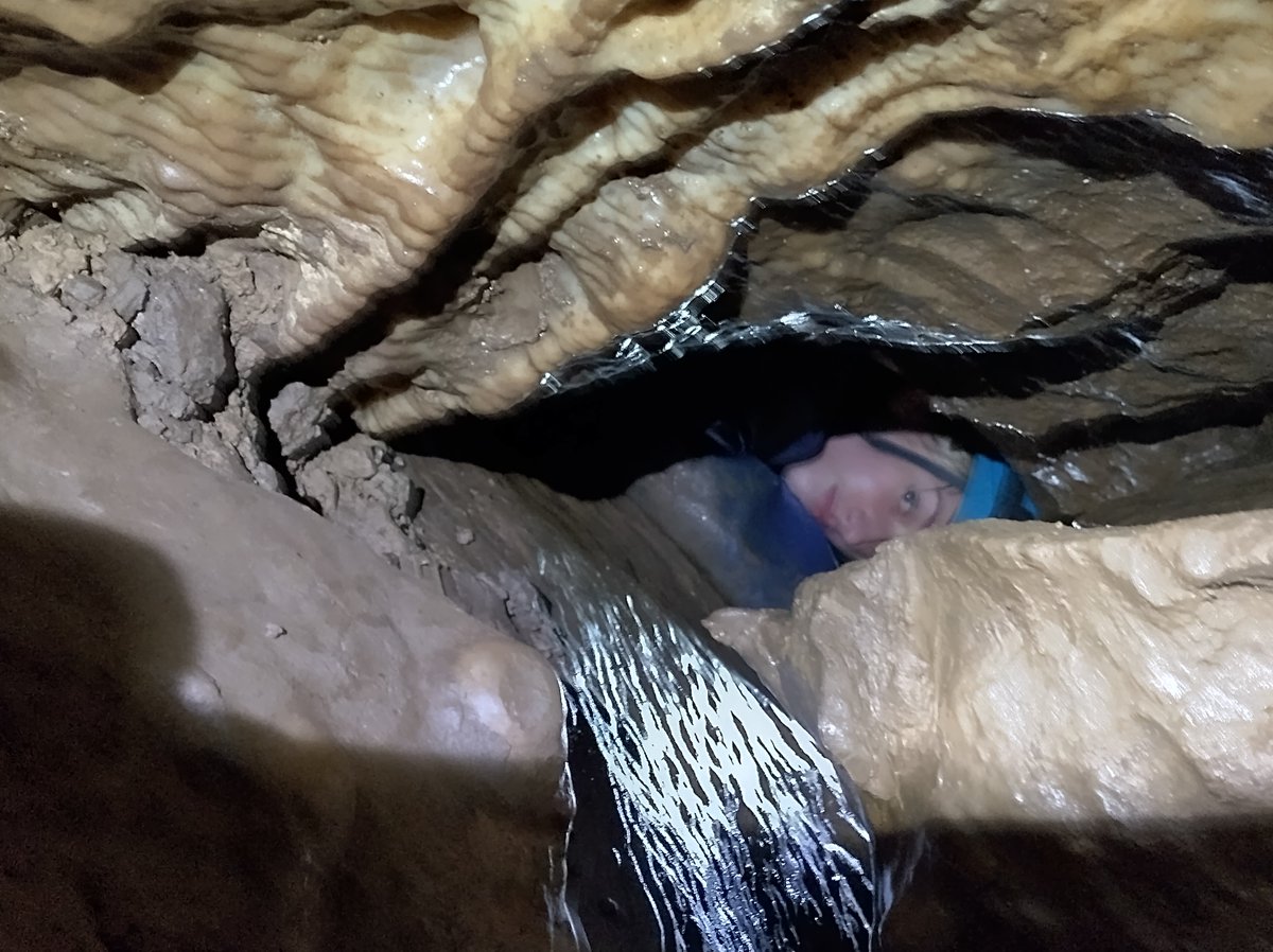 2nd Exeter Scouts tweet media