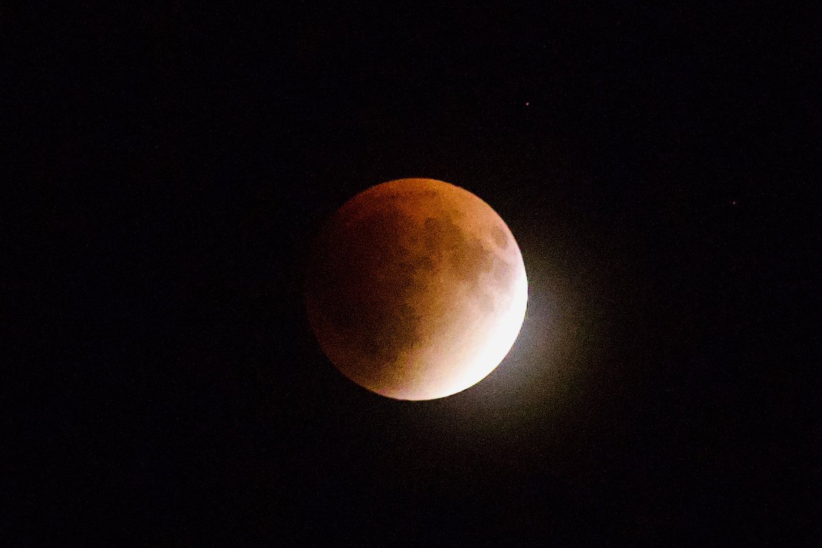 Vijaykulange's tweet image. Shades of #LunarEclipse from my lens .. #redmoon