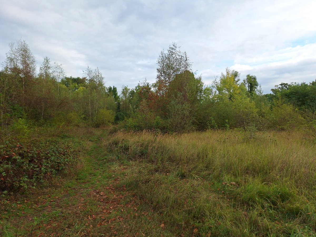 Susanne Verberk tweet media