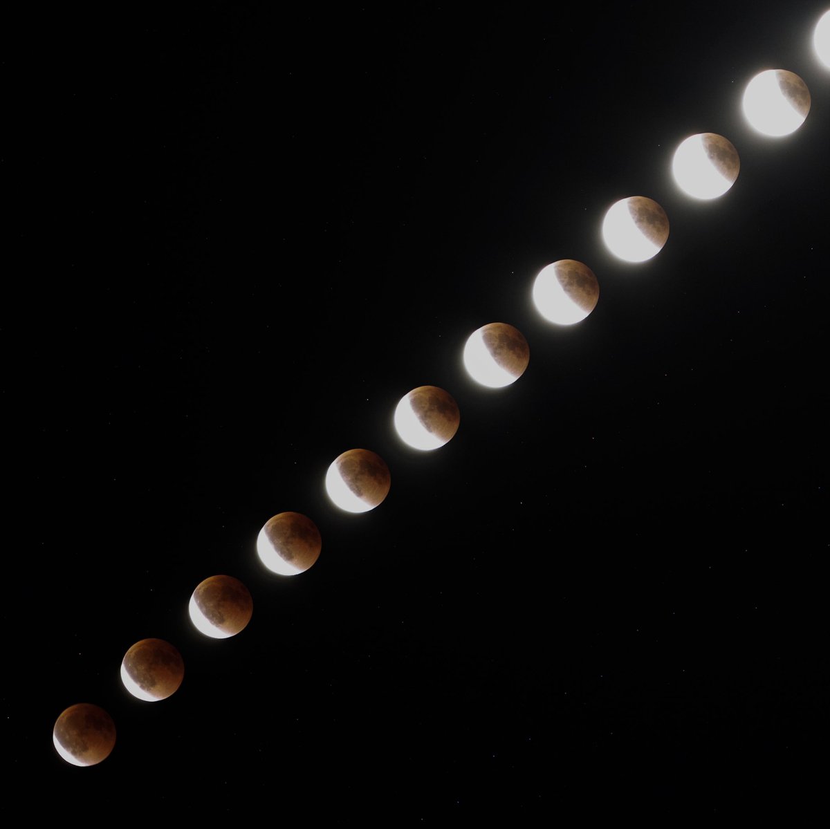 Aslı Aydın Bayer tweet media