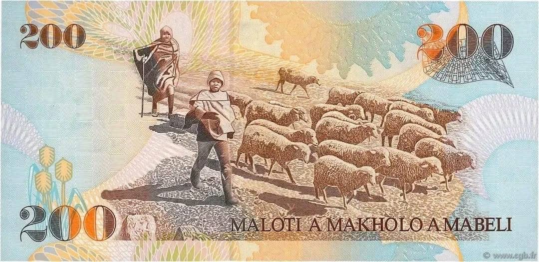 visitlesotho's tweet photo. Lesotho's currency through the ages,pride of our pastures, reflected in our currency: A proud showcase of our visionary leaders &amp; wealth in livestock. Every note literally tells a story! Visit Lesotho... &amp; let our stories fascinate you!

https://t.co/kra11DH7Wn 
#VisitLesotho https://t.co/MBUevAo1WX