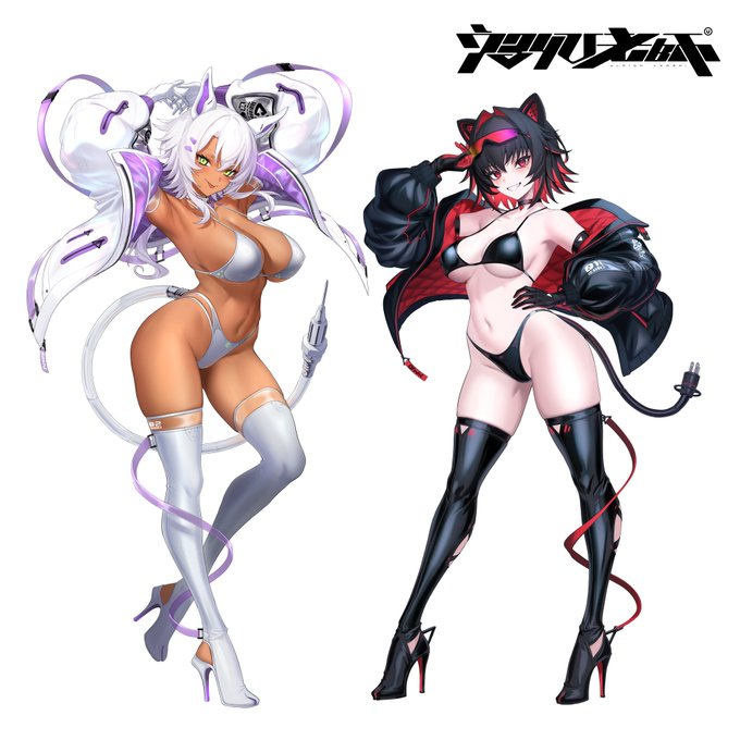 サイバーペット シルキー&オニキス
ENSOUTOYS様でフィギュア化します! 