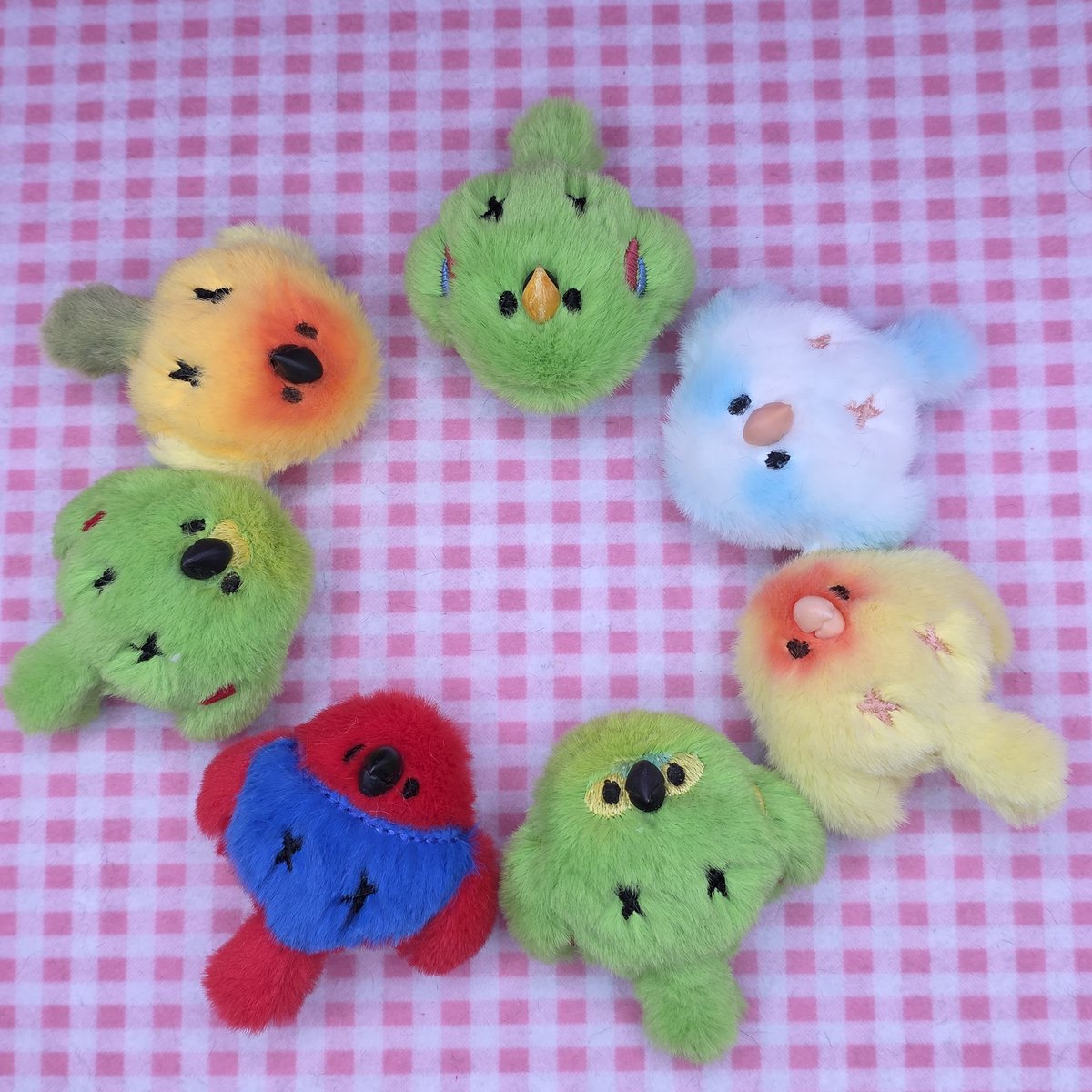 앵앵 무슨앵?? 쟁반같이 둥근앵 

모란앵 청모자앵 황모자앵 퀘이커앵 썬코뉴어앵 뉴기니아앵

다양한 미니똥글이 앵무새들