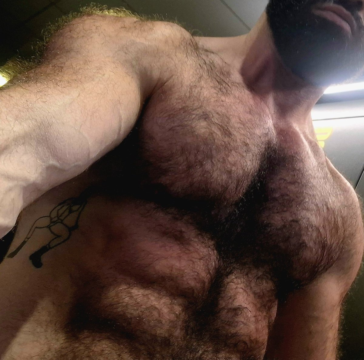 Sport. Naked before the shower.
#gayman #hairyman #hairychest #hairynaked #gayparis #gaymanparis #goodtosuck #goodtolick #alphamaster #gaymaster #gayboys #Chudai #gay #groupsex #gayfetish #gaysex #bareback #hairywhite #hairymanaddict #hairypassion #hairyisthebest