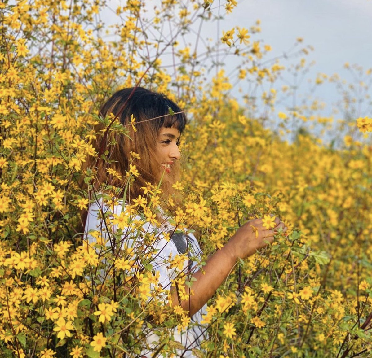 LiyaTefferi's tweet image. The most beautiful people &amp;amp; landscape #AmharaHighlands
Ethiopia

#EthioNewYear Seasonal Flowers Flowers; yellow #Adey 🌼

መልካም ቀን ጓዶች

💚💛❤️