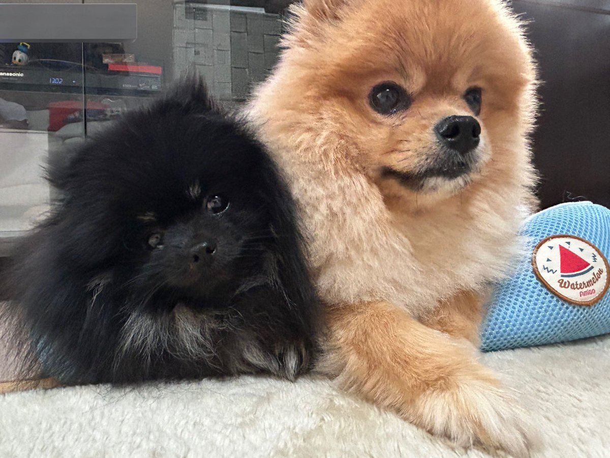 お兄ちゃんとくっつけてこの笑顔