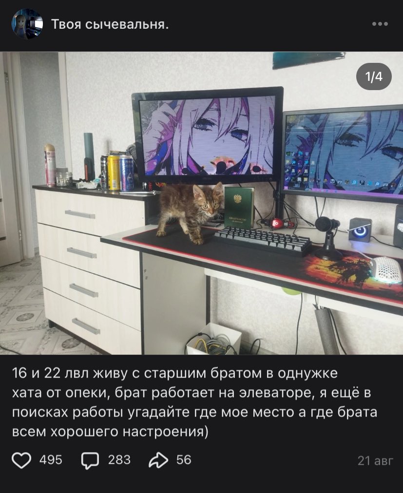 anichqwerty's tweet image. я не могу с этих квартир игроманов с уродскими ковриками для мышек и креслами 😭😭😭