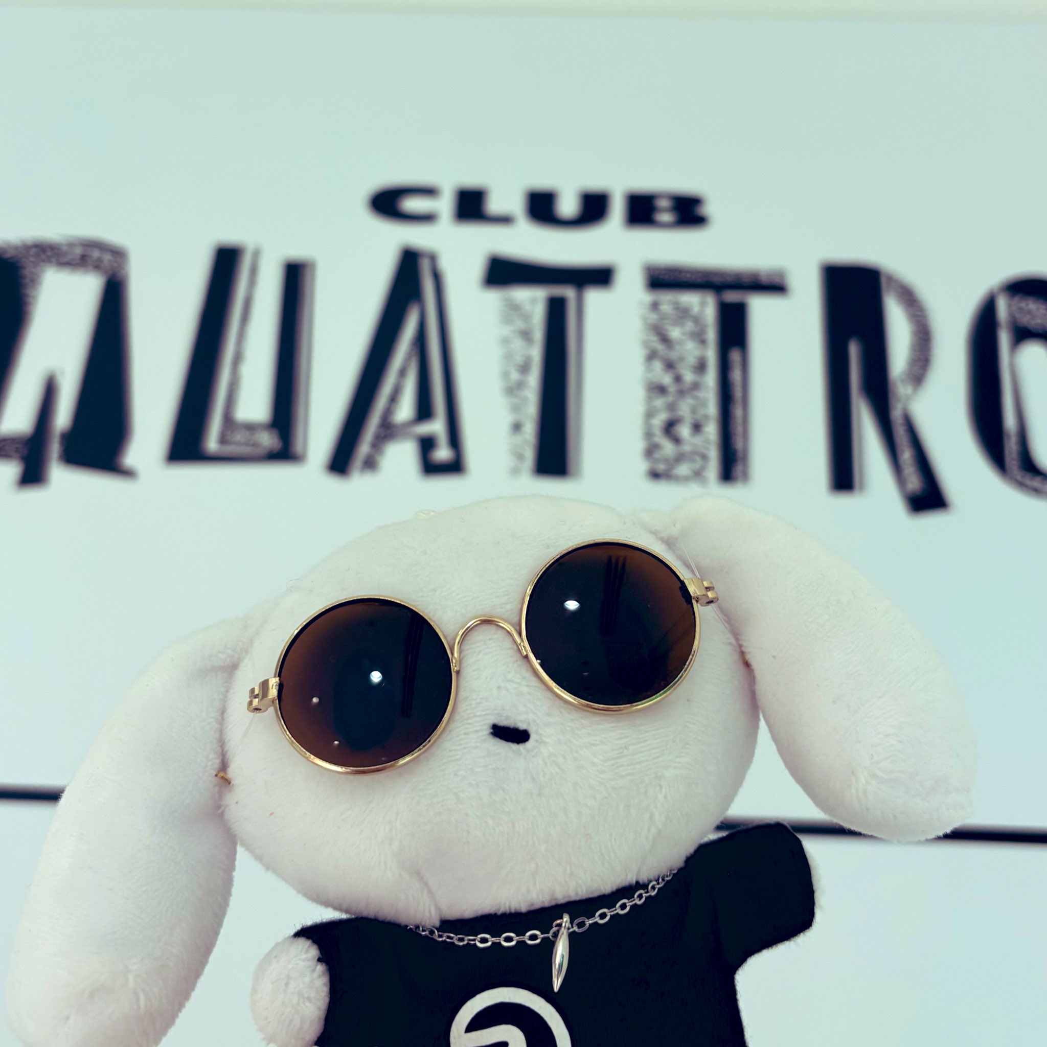 アイシナモロールサプライズボックス8月号