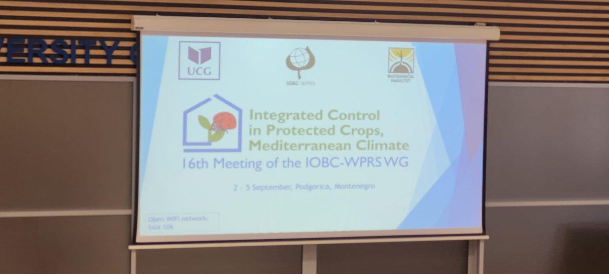 VIRTIGATION - save tomatoes & cucurbits from virus tweet media