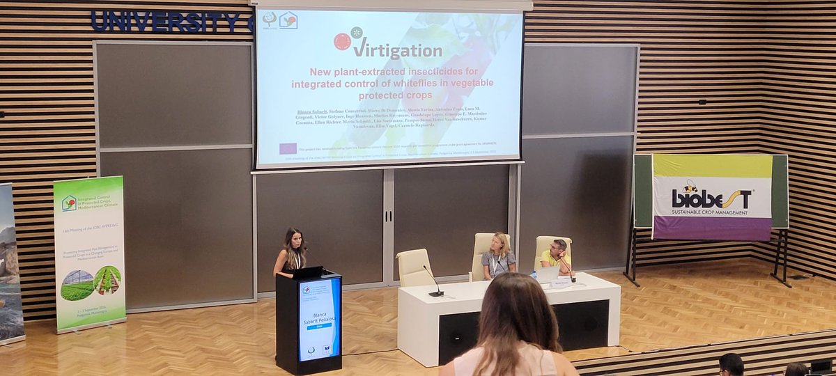 VIRTIGATION - save tomatoes & cucurbits from virus tweet media