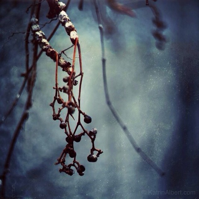 Lori(衣緒里 / iori) (@ioritosa2) on Twitter photo Montreal memories
Katrin Albert (katrin_albert) Montreal memories
Katrin Albert (katrin_albert)