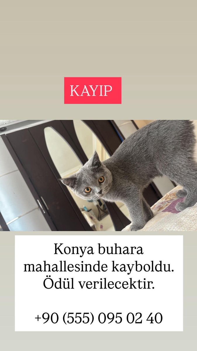 Hülya Erge tweet media
