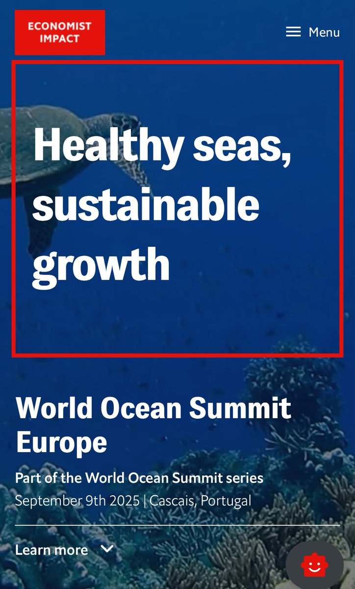 Matt 🌊 tweet media