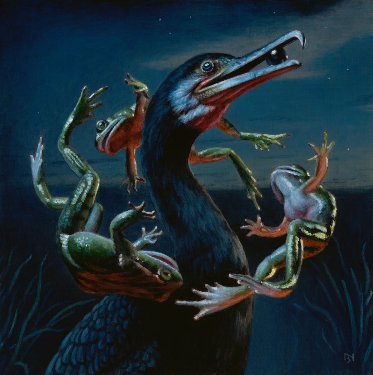 Nick Sheehy tweet media