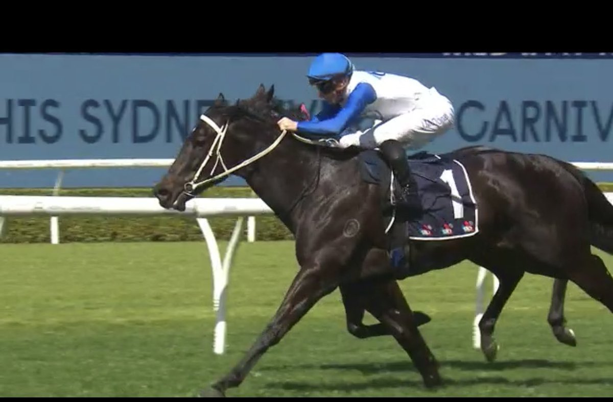 Capri Racing & Syndications tweet media