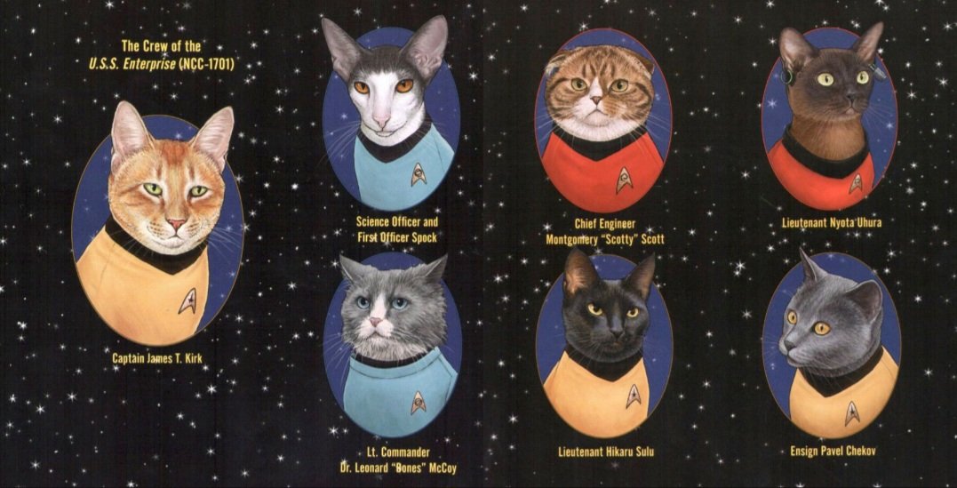 Happy Star Trek day 🖖