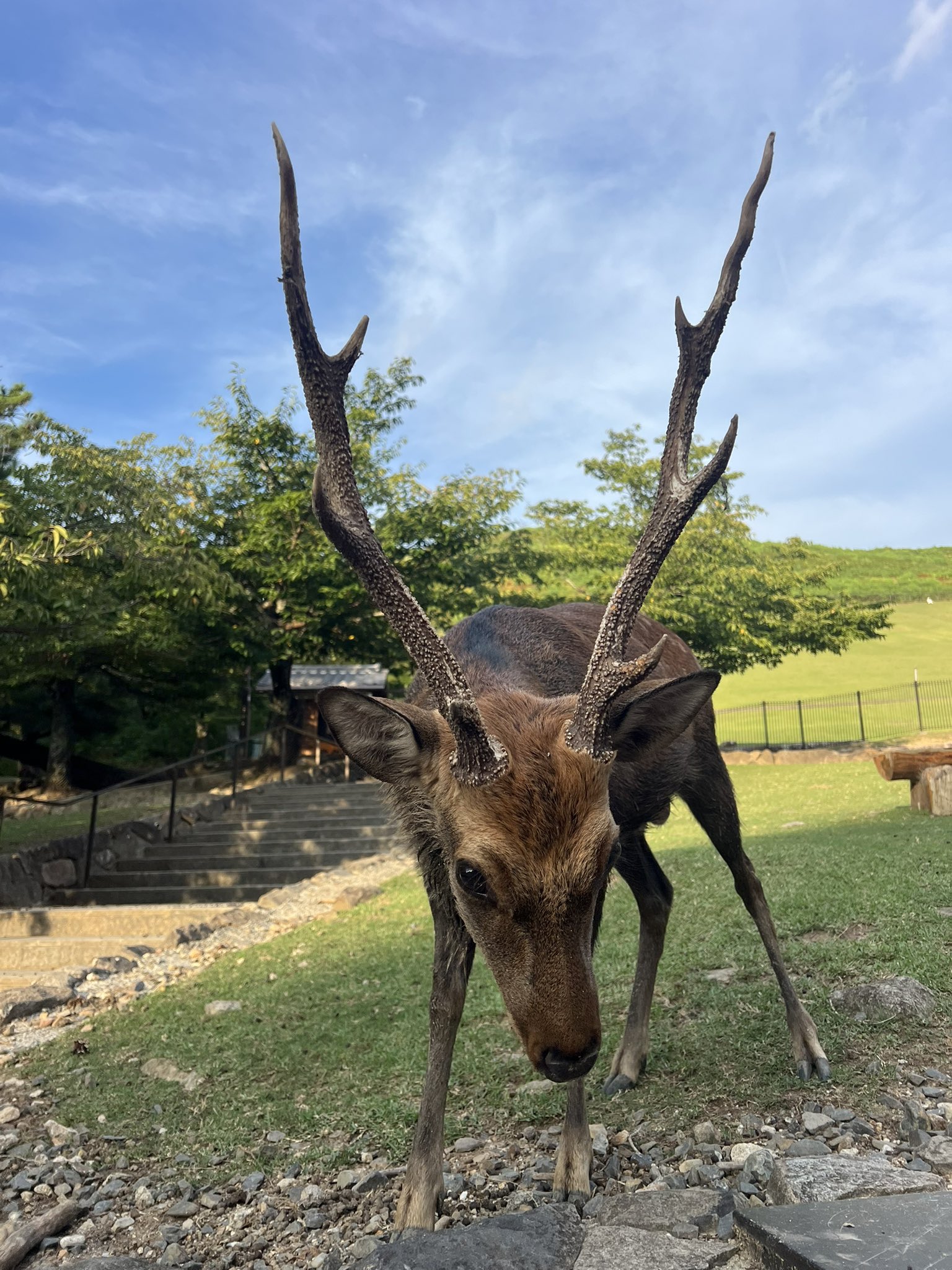 佳奈ページ 佳奈 (@t_r777k) / X