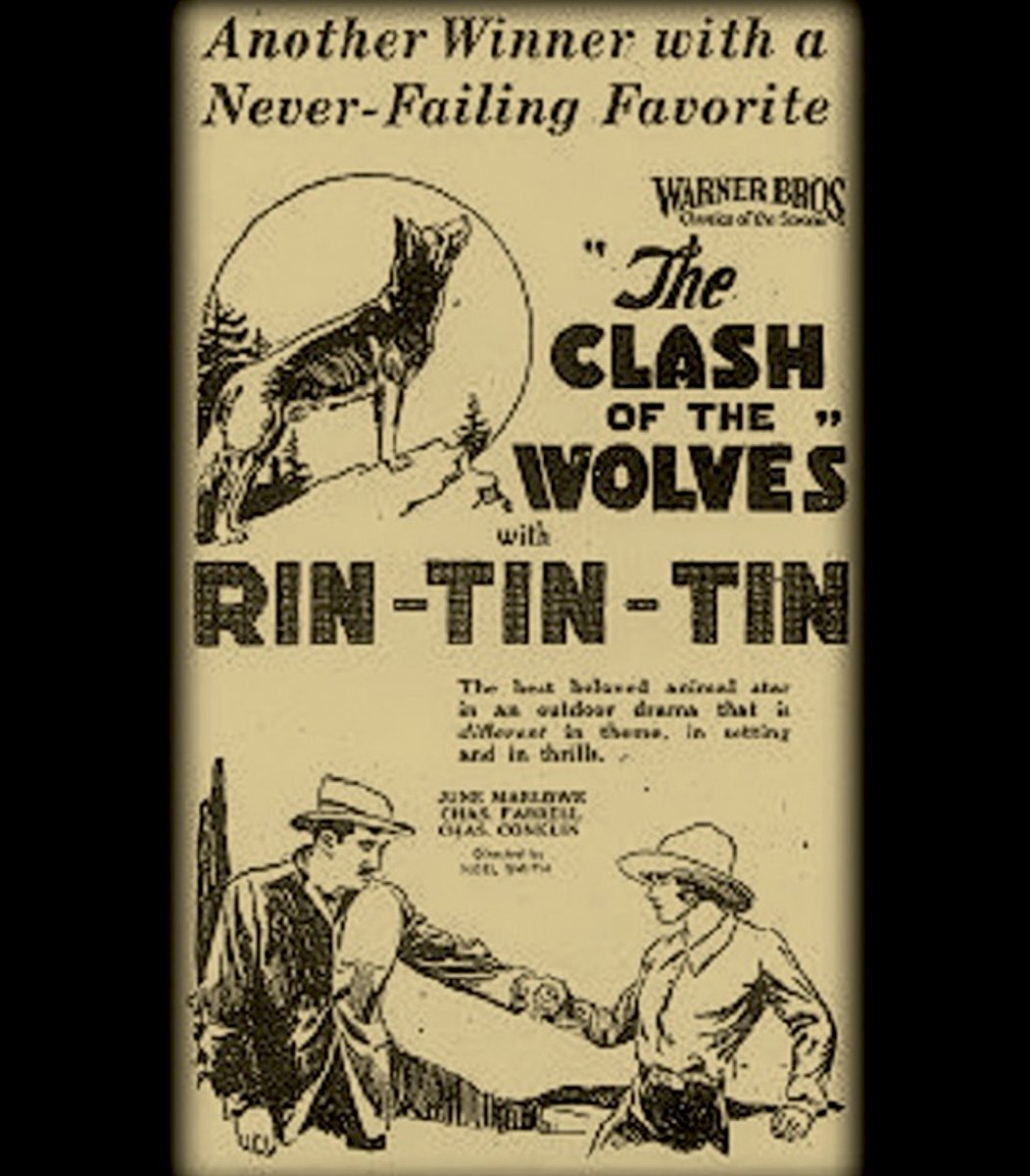 analgesicsleep's tweet image. American posters and advertisement for “Clash of the Wolves”
#TCMParty #SilentSundayNights #ClashOfTheWolves #RinTinTin #SilentFilm