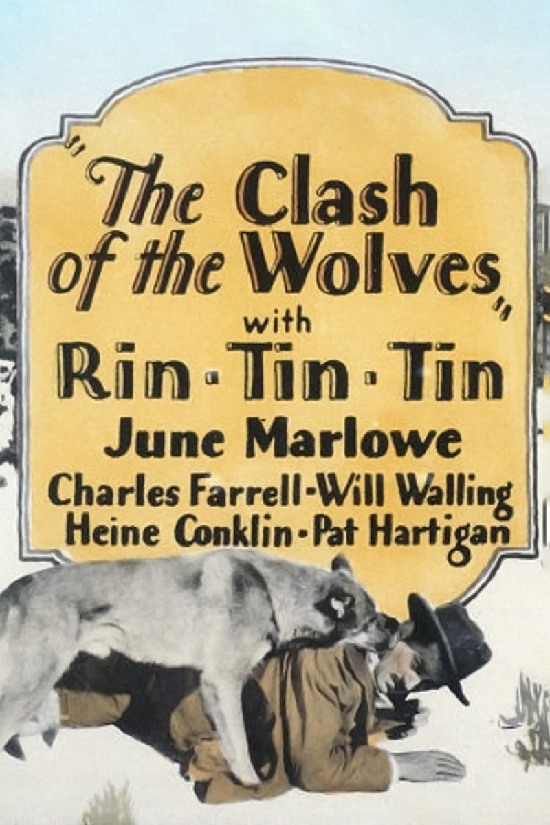 analgesicsleep's tweet image. American posters and advertisement for “Clash of the Wolves”
#TCMParty #SilentSundayNights #ClashOfTheWolves #RinTinTin #SilentFilm