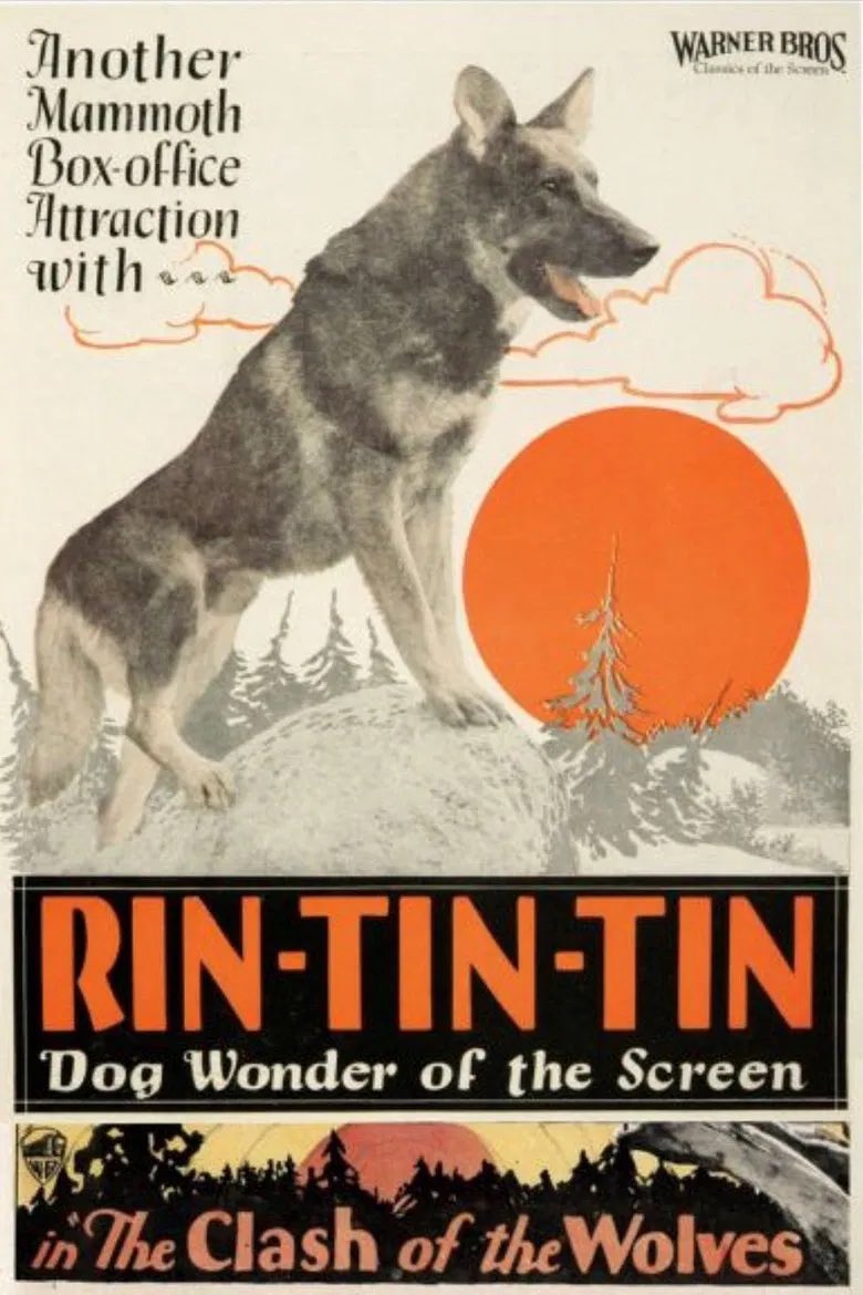 analgesicsleep's tweet image. American posters and advertisement for “Clash of the Wolves”
#TCMParty #SilentSundayNights #ClashOfTheWolves #RinTinTin #SilentFilm
