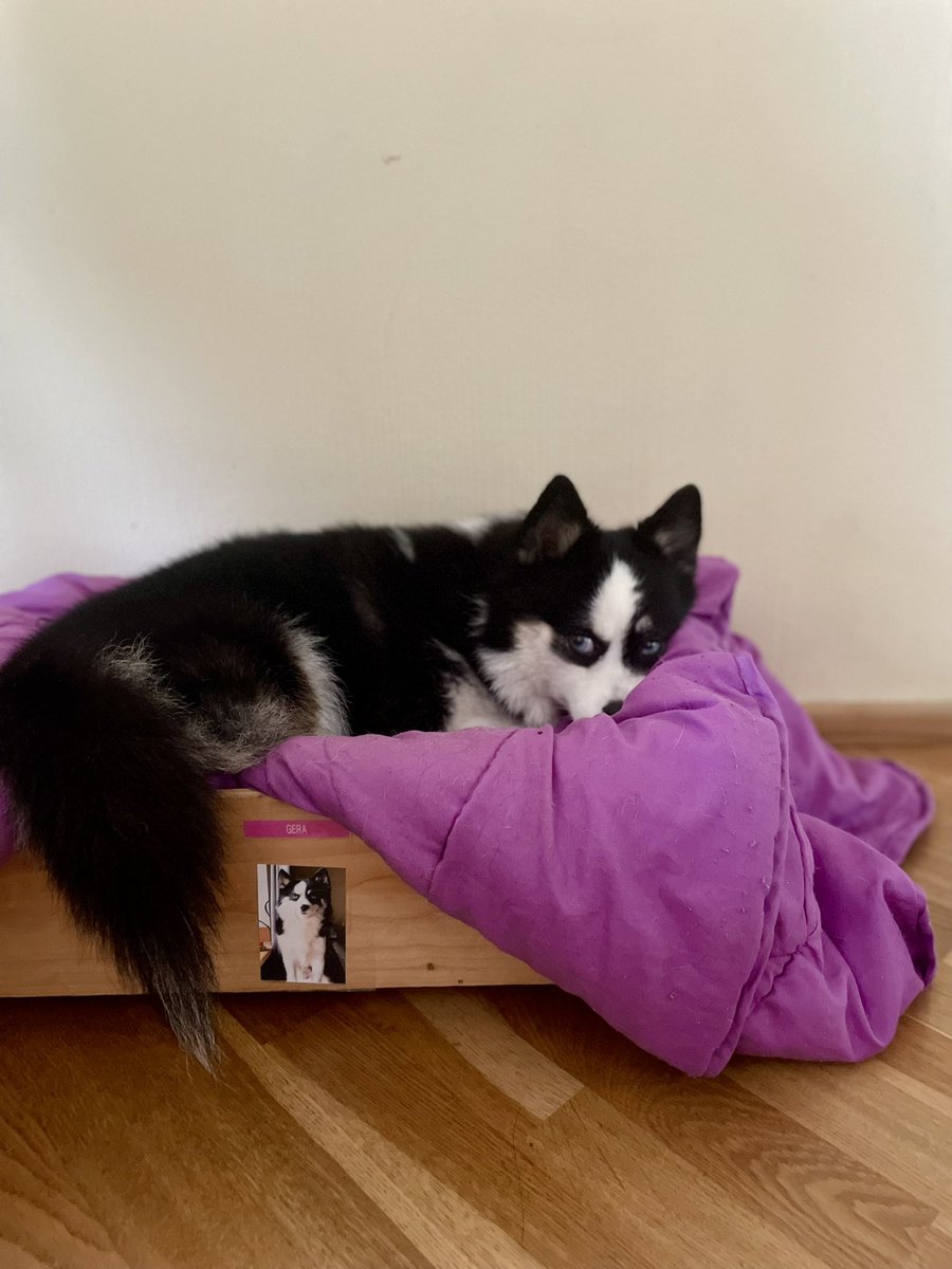 Иди-иди на свою работу…