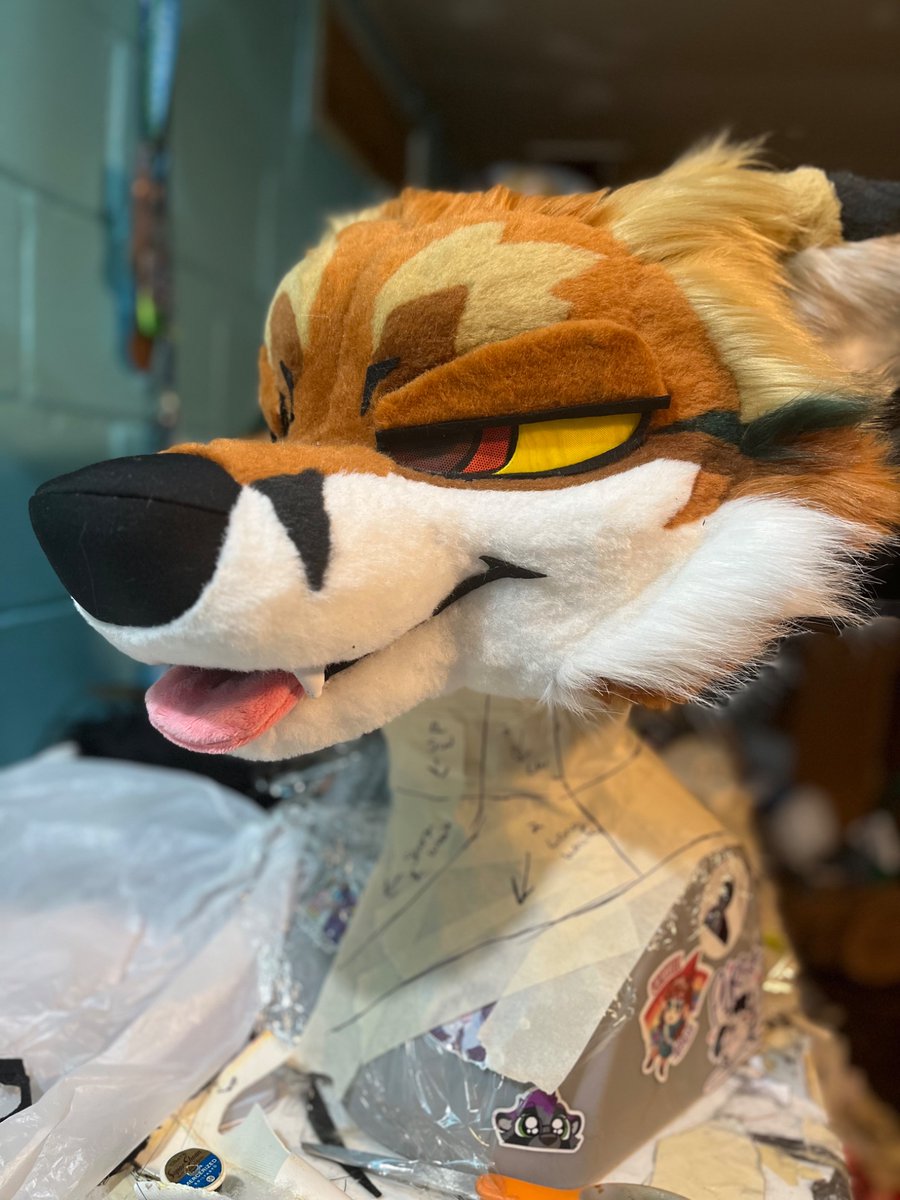 Fox premade 🍁 auction starting Wednesday.