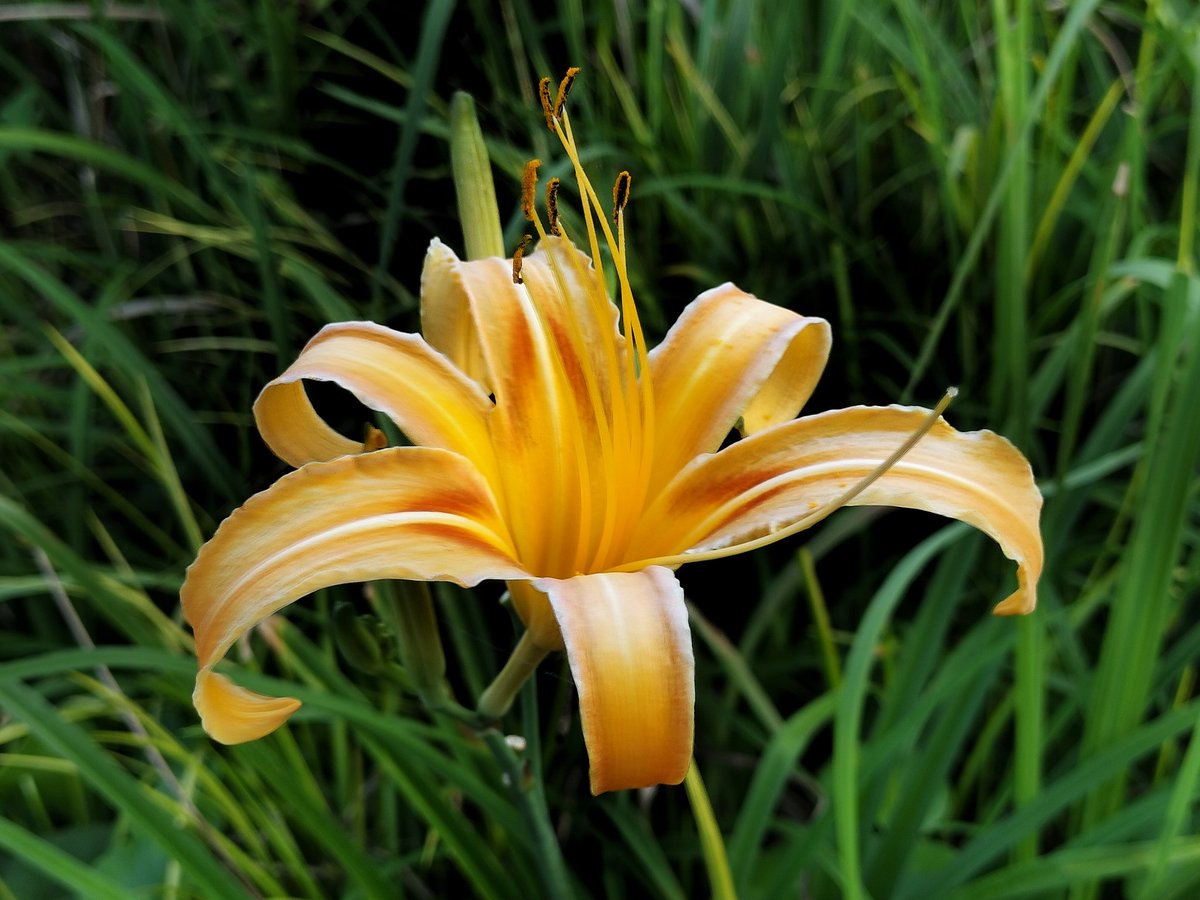 Keigo Taniguchi (@keigo_taniguchi) on Twitter photo 